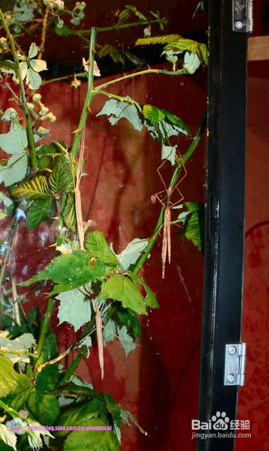 畅游温哥华科技馆(组图)