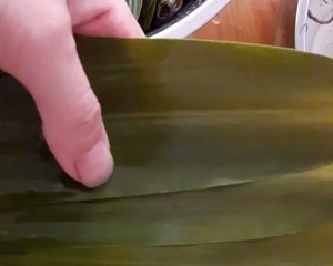 北方豆沙粽子的包法