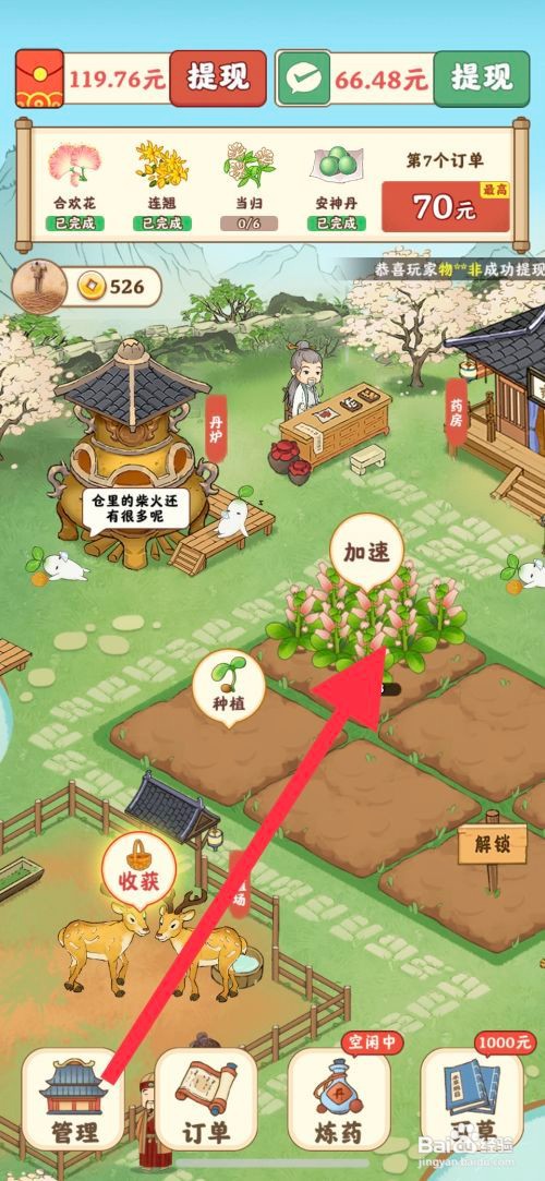 杏林世家怎么种植地黄