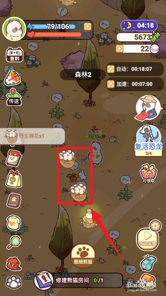 熊猫餐厅在哪里获取棉花