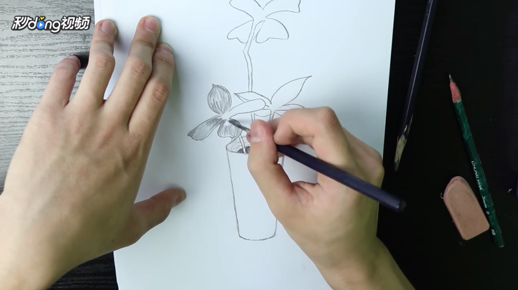 素描四叶草怎么画