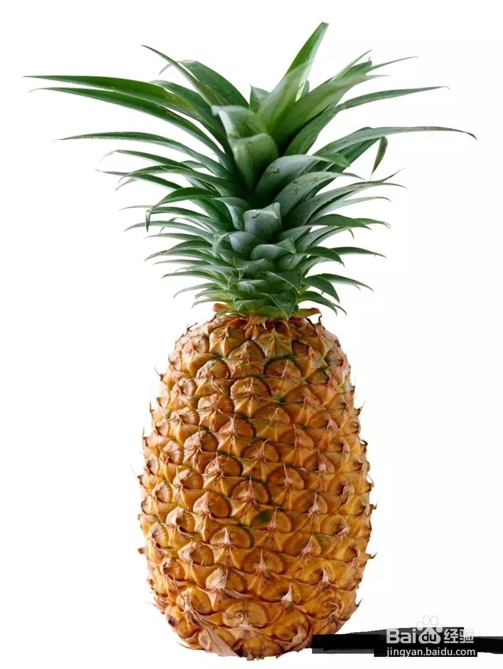 如何用PS合成菠萝城堡?