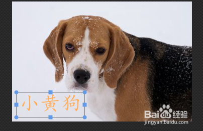 图片上添加文字