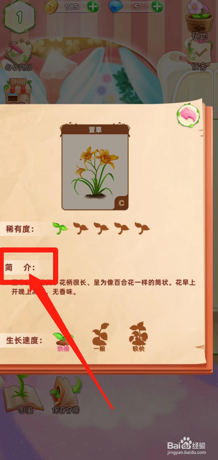 花花姑娘之魔法花园如何查看萱草简介