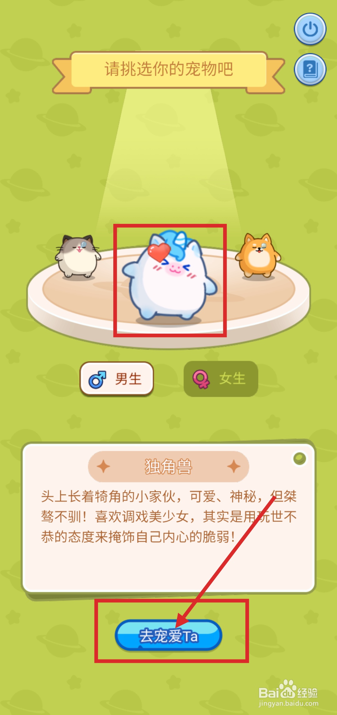 Soul怎么领养小宠物？