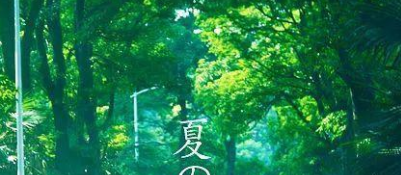 夏季要注意哪些安全知识