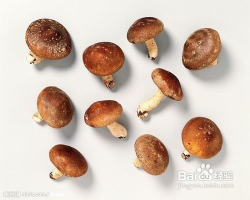 风靡日本瘦身餐:蘑菇米饭