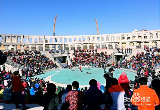 环球冰雪嘉年华 挑战吉尼斯世界纪录称号
