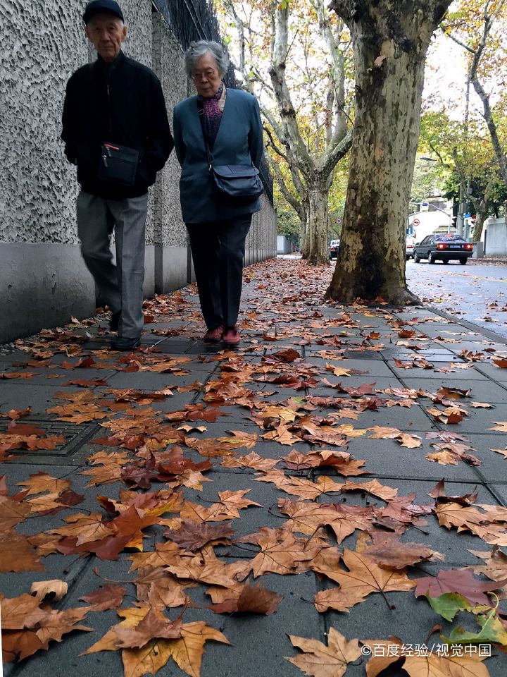 老年人晚饭后半小时适合干什么