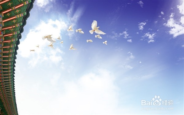 炒股心态如何培养