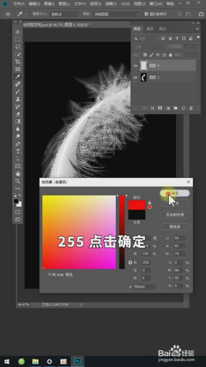 在Ps中如何抠羽毛