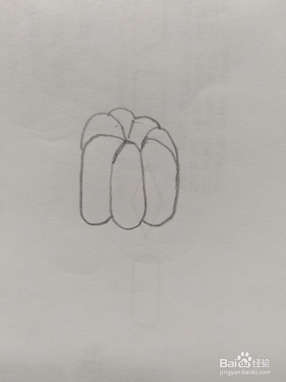 简笔画山竹画法4