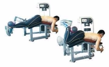 身体各部位肌肉训练的方法有哪些