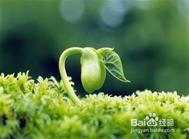无论如何都要让生命快乐