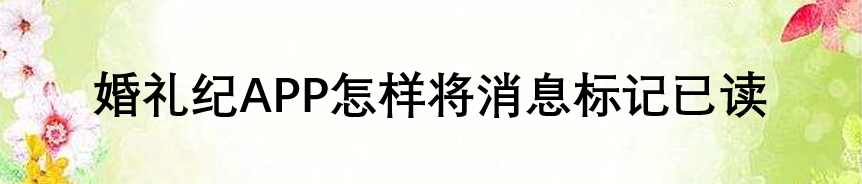 婚礼纪APP怎样将消息标记已读