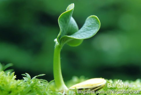 教育孩子有方法,合格父母有责任