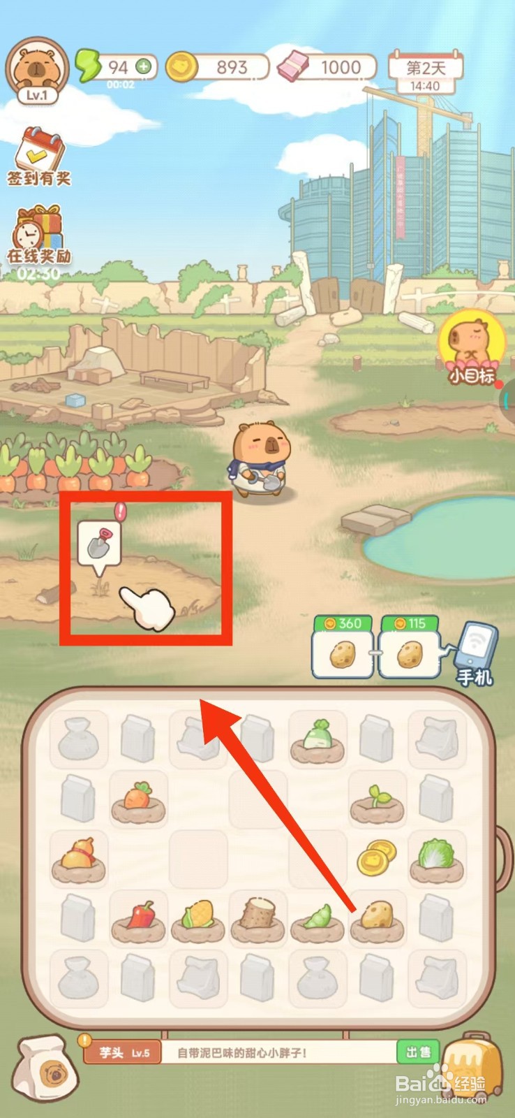 慢豚豚的生活如何开垦果蔬园?