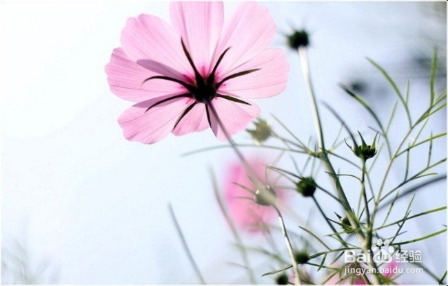 关于国家司法考试的几点常识