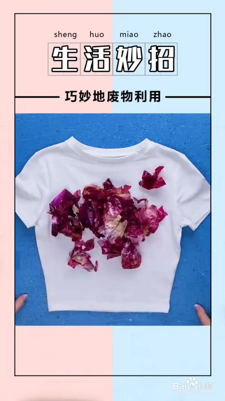 如何将衣服染成绿色