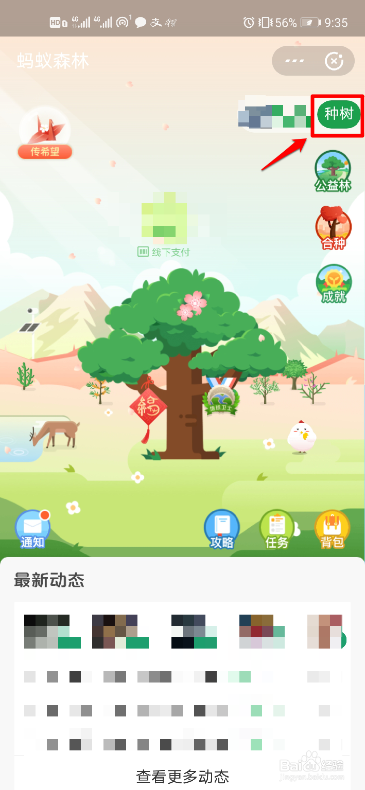 支付宝如何种树
