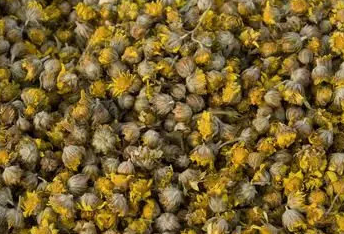 哪些情况的人适合饮用菊花茶
