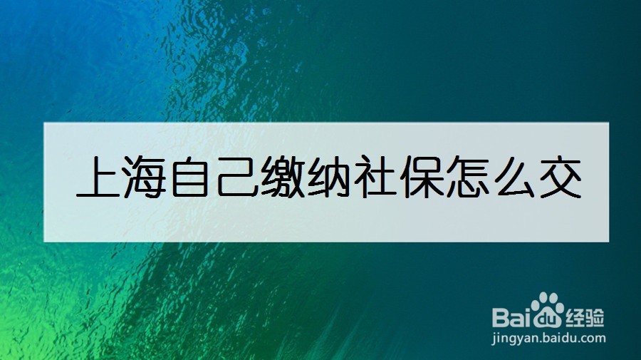 上海自己缴纳社保怎么交
