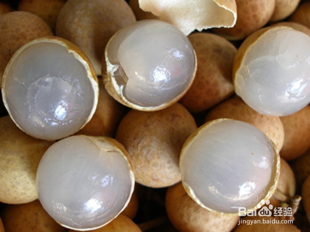 桂园补益小妙招