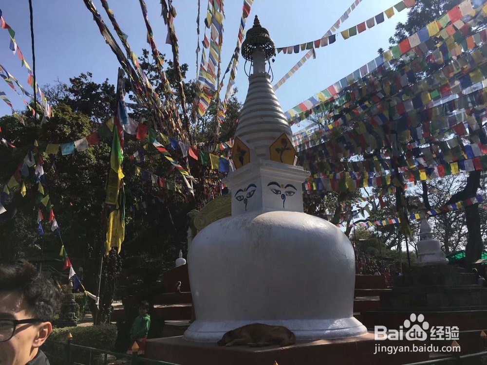 尼泊尔------喜马拉雅南坡