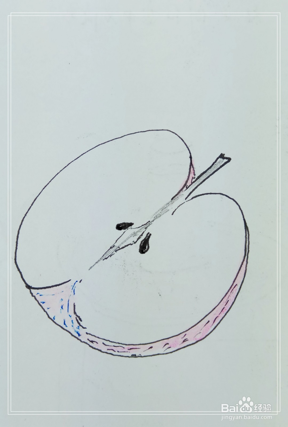 怎样画简笔画“半个苹果”？