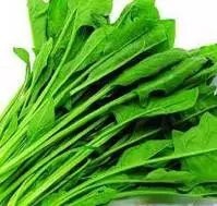 孩子吃这些食物必定聪明,宝妈转起备用