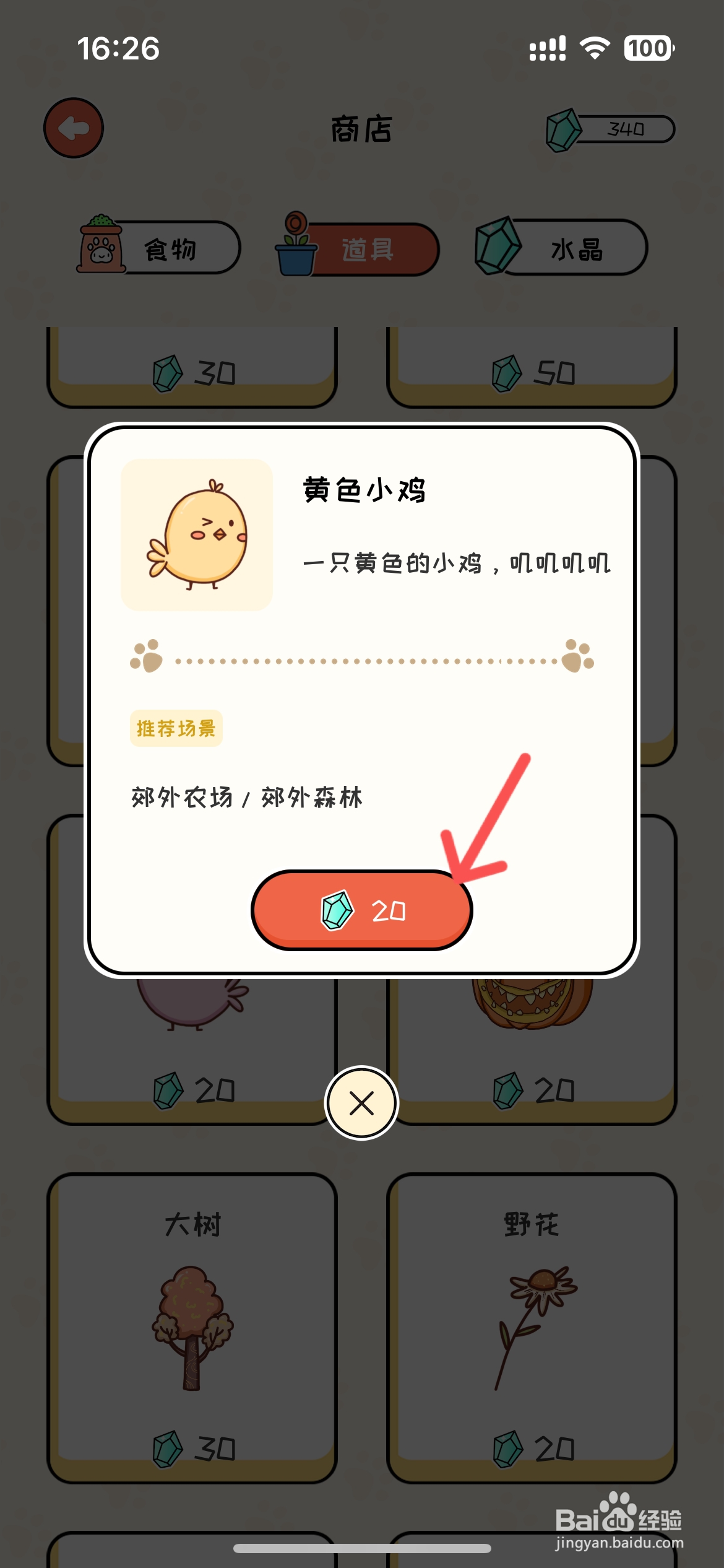 萌小喵日记怎么在商店购买黄色小鸡