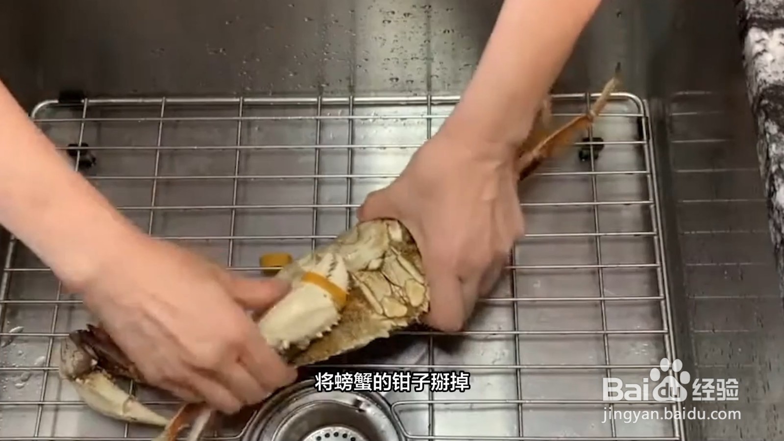 怎样洗螃蟹又快又干净