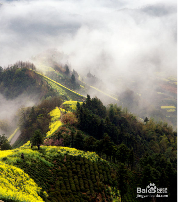 雾很大怎么形容