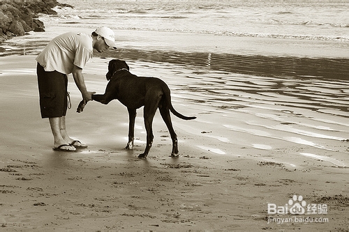 如何自我解决矛盾