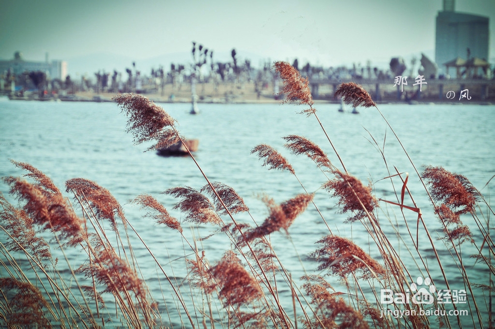 细说导致风湿病的病因有哪些