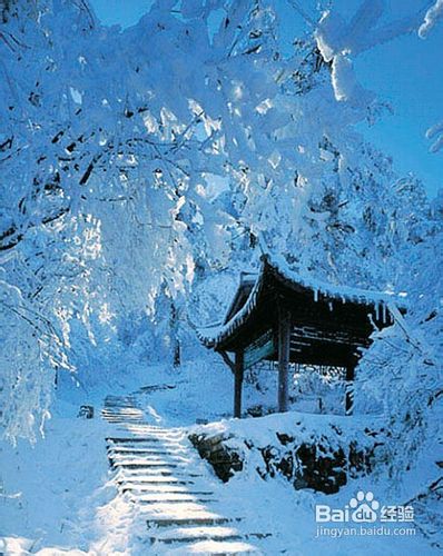 春季自驾游攻略