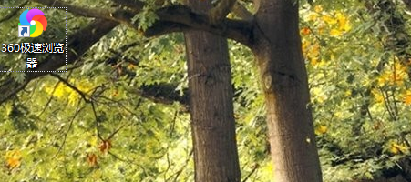 360极速浏览器网络怎么设置?