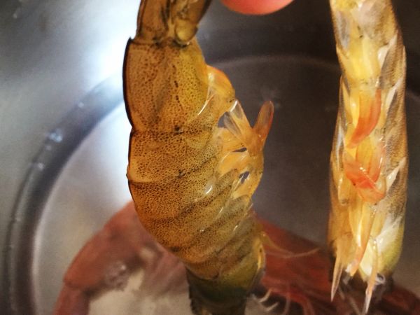 海鲜螺旋五彩意面