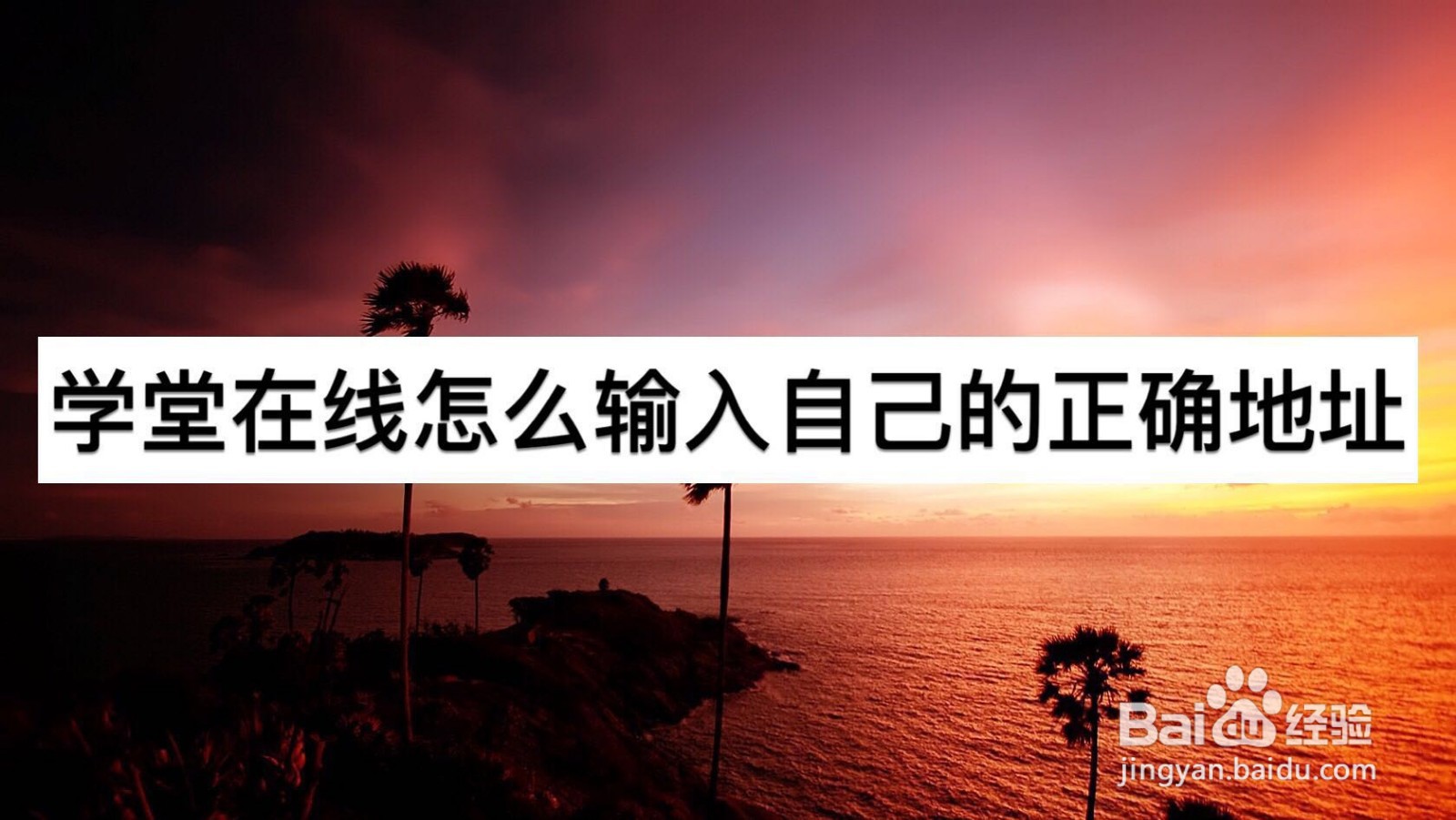 学堂在线怎么输入自己的正确地址