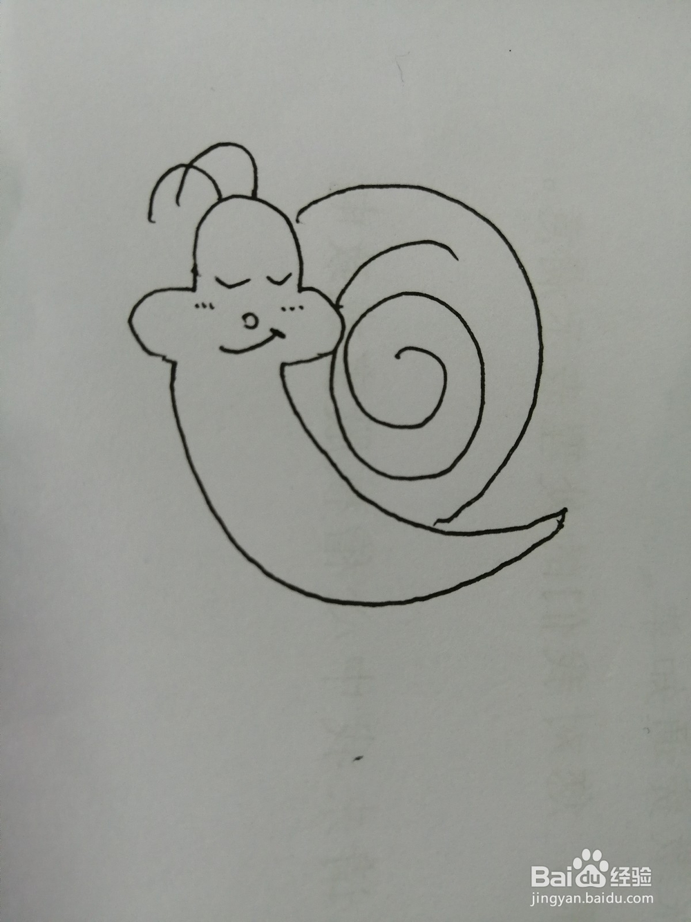 <b>睡着的可爱的小蜗牛怎么画</b>