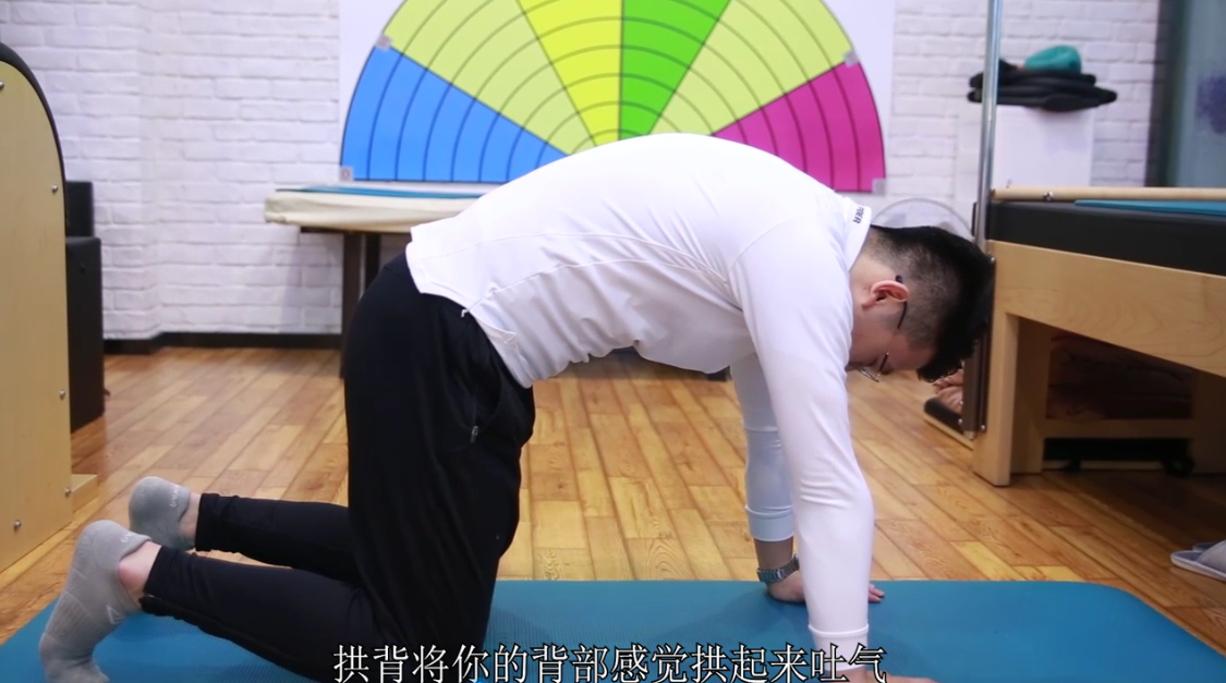 猫式伸展怎么放松肌肉,缓解疲劳