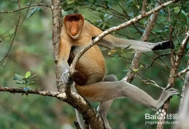 仙本那旅游攻略