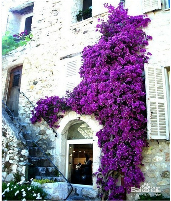 夫妻间如何保鲜?