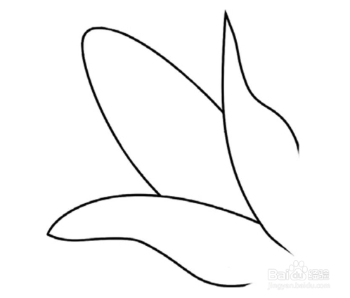 简笔画：辣椒、玉米绘画步骤