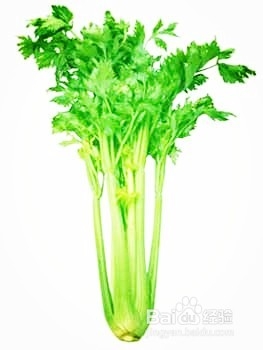 芹菜的功效都有哪些？