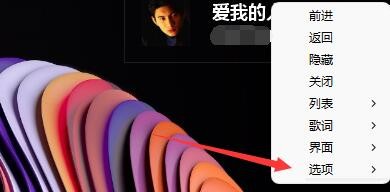 mcool启动下载歌词功能