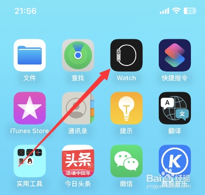 iphone如何查看watch版本