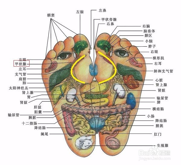 想提神醒脑怎么办?