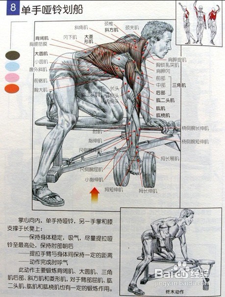 男士必须收藏:男士健身方案