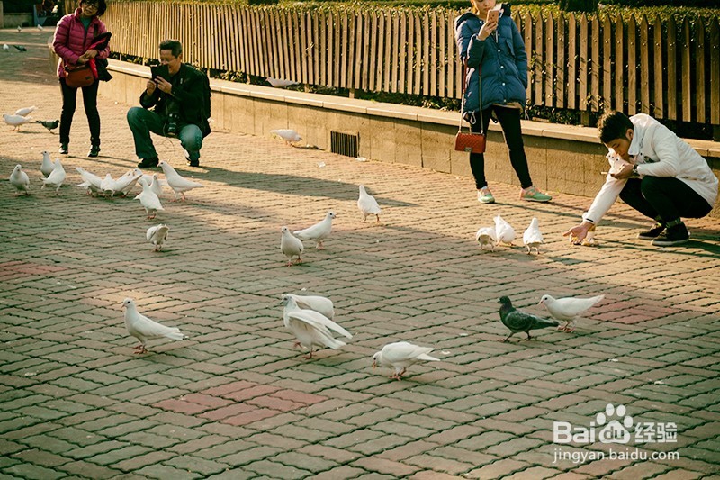 上海人民广场的介绍